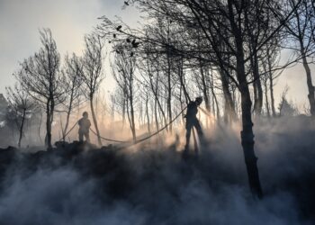 Πυροσβέστες επιχειρούν κατά των τελευταίων μικρών εστιών στη Σταμάτα (φωτ.: EUROKINISSI/Μιχάλης Καραγιάννης)