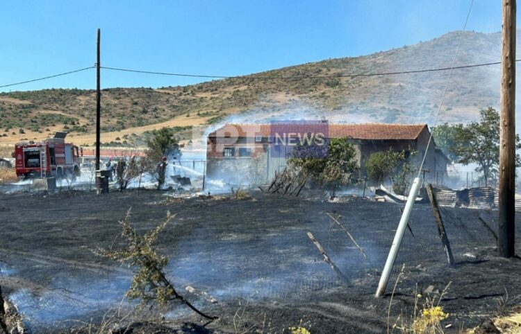 Στις φλόγες παραδόθηκε ο στάβλος και ο εξωτερικός του χώρος στο βιομηχανικό πάρκο του Άργους Ορεστικού (φωτ.: ertnews.gr)