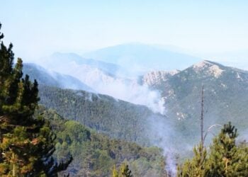 Η φωτιά έχει περάσει πλέον σε βουλγαρικό έδαφος (φωτ.: facebook/Югозападно държавно предприятие ДП)