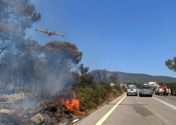 Πυροσβεστικό αεροσκάφος επιχειρεί στην περιοχή Άγιος Βλάσης στο Σοφικό Κορινθίας (φωτ.: ΑΠΕ-ΜΠΕ / Βασίλης Ψωμάς)