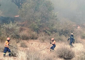 Η Επίλεκτη Ομάδα Ειδικών Αποστολών Χανίων στην κατάσβεση της φωτιάς στο Δήμο Αμαρίου (φωτ.: Facebook / Επίλεκτη Ομάδα Ειδικών Αποστολών Χανίων)