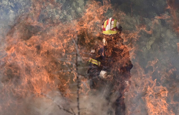 Πυροσβέστης μέσα στις φλόγες που καταπίνουν πράσινο και περιουσίες στη βορειοανατολική Αττική (φωτ.: EUROKINISSI / Μιχάλης Καραγιάννης)