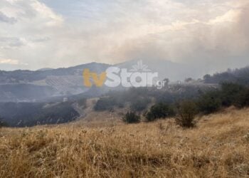 Ο καπνός είναι από τη φωτιά στον Δομοκό, κοντά στο χωριό Κορομηλιά (πηγή: tvStar)