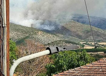 Καπνός από τη φωτιά στα Παρχάρια Εορδαίας (πηγή: ΕΡΤ)