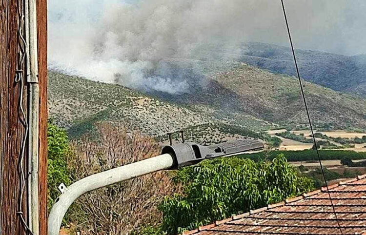 Καπνός από τη φωτιά στα Παρχάρια Εορδαίας (πηγή: ΕΡΤ)