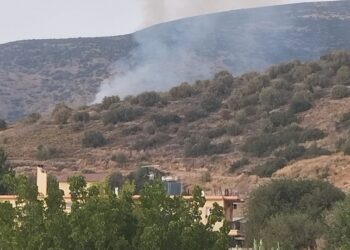 Καπνός από τη φωτιά στην Αμυγδαλίτσα Ναυπλίου (φωτ.: Facebook / Πυρκαγιά Ενημέρωση / Γιάννης Μουταλής)