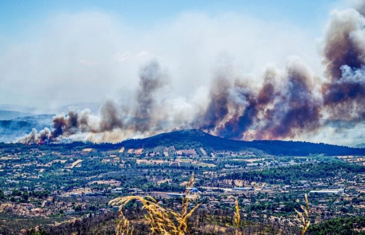 Αποκαρδιωτικές εικόνες από τις καμένες εκτάσεις στην Αττική (φωτ.: EUROKINISSI/Νίκη Πατεράκη)