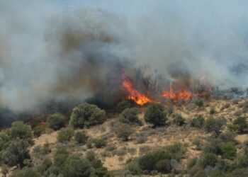 Στις φλόγες έχει παραδοθεί η περιοχή της Αγίας Παρασκευής (φωτ.: ΑΠΕ-ΜΠΕ/Νίκος Χαλκιαδάκης)