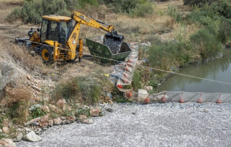 Ο Οργανισμός Λιμένα Βόλου μαζεύει τα νεκρά ψάρια από το προστατευτικό δίχτυ στην περιοχή Μπουρμπουλήθρα στις εκβολές του ρέματος Ξηριά (φωτ.: ΑΠΕ-ΜΠΕ/Νίκος Χατζηπολίτης)