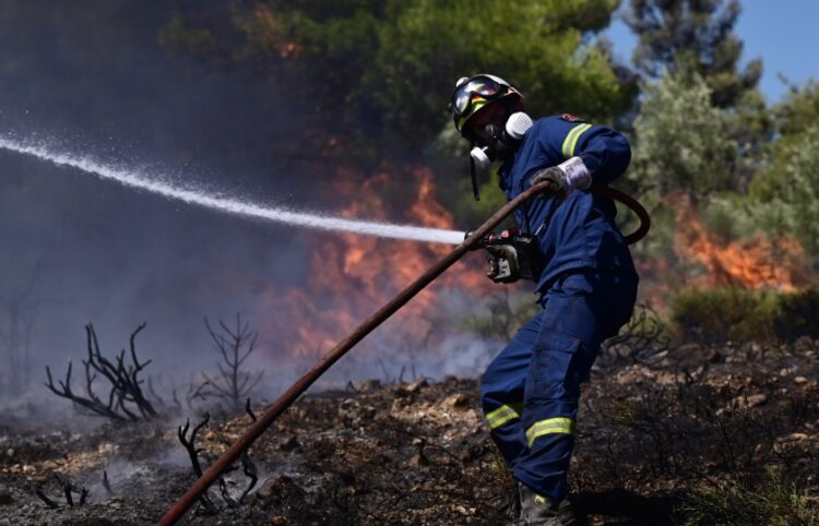 Πυροσβέστης σβήνει φωτιά στην Αττιμή (φωτ. αρχείου: EUROKINISSI/Μιχάλης Καραγιάννης)