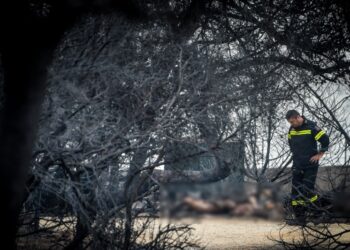 Πυροσβέστης επιθεωρεί καμένες περιοχές στο Μάτι (φωτ. αρχείου: EUROKINISSI/Τατιάνα Μπόλαρη)