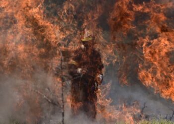 Πυροσβέστης ανάμεσα στις φλόγες (φωτ. αρχείου: EUROKINISSI/Μιχάλης Καραγιάννης)