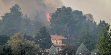 Εικόνα από το  Γεράκι Αμαλιάδας (φωτ.: Γιάννης Σπυρούνης/ ILIALIVE.GR/EUROKINISSI)