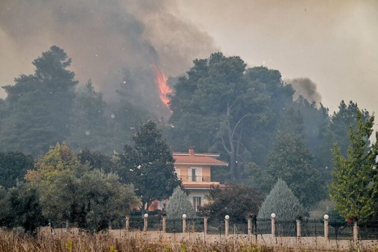 Εικόνα από το  Γεράκι Αμαλιάδας (φωτ.: Γιάννης Σπυρούνης/ ILIALIVE.GR/EUROKINISSI)