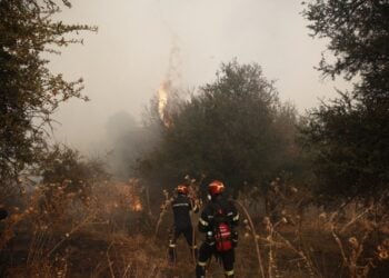 Πυροσβέστες επιχειρούν στη φωτιά που μαίνεται σε δασική έκταση στην περιοχή Σοφιανά Κορινθίας (φωτ.: ΑΠΕ-ΜΠΕ/Γιάννης Κολεσίδης)