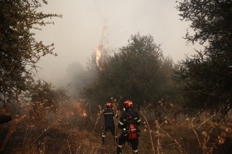 Πυροσβέστες επιχειρούν στη φωτιά που μαίνεται σε δασική έκταση στην περιοχή Σοφιανά Κορινθίας (φωτ.: ΑΠΕ-ΜΠΕ/Γιάννης Κολεσίδης)