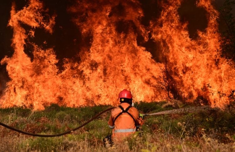 Πυροσβέστης δίνει μάχη με τις φλόγες για τρίτη ημέρα στην Κορινθία (φωτ.: EUROKINISSI/Μιχάλης Καραγιάννης)