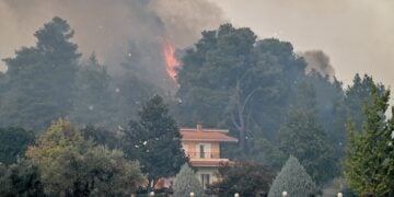 Πυρκαγιά σε δασική έκταση στην περιοχή Γεράκι Αμαλιάδας στην Ηλεία (φωτ. αρχείου: IliaLive.gr/ Γιάννης Σπυρούνης)