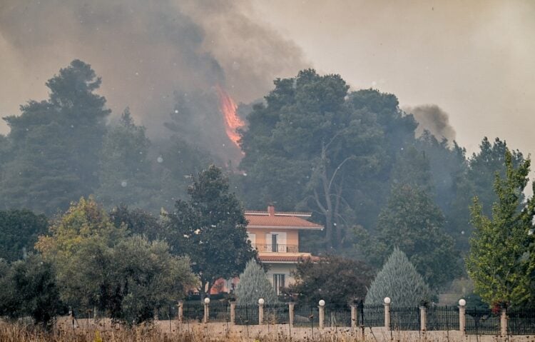 Πυρκαγιά σε δασική έκταση στην περιοχή Γεράκι Αμαλιάδας στην Ηλεία (φωτ. αρχείου: IliaLive.gr/ Γιάννης Σπυρούνης)