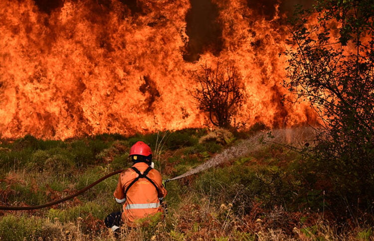 Από την πυρκαγιά στην περιοχή του Ξυλοκάστρου (φωτ.: EUROKINISSI / Μιχάλης Καραγιάννης)