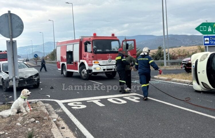 Αριστερά διακρίνεται ο σκύλος και δεξιά το αναποδογυρισμένο Smart, στο οποίο βρήκε τραγικό θάνατο ο οδηγός (φωτ.: LamiaReport.gr)