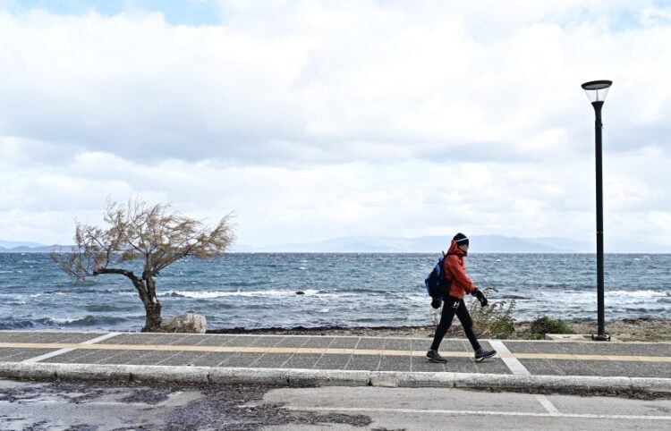 (Φωτ. αρχείου: EUROKINISSI/Μιχάλης Καραγιάννης)