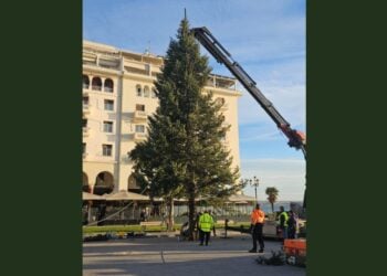 Συνεργείο του δήμου Θεσσαλονίκης στήνει το χριστουγεννιάτικο δέντρο στην πλατεία Αριστοτέλους (φωτ.: Δήμος Θεσσαλονίκης)