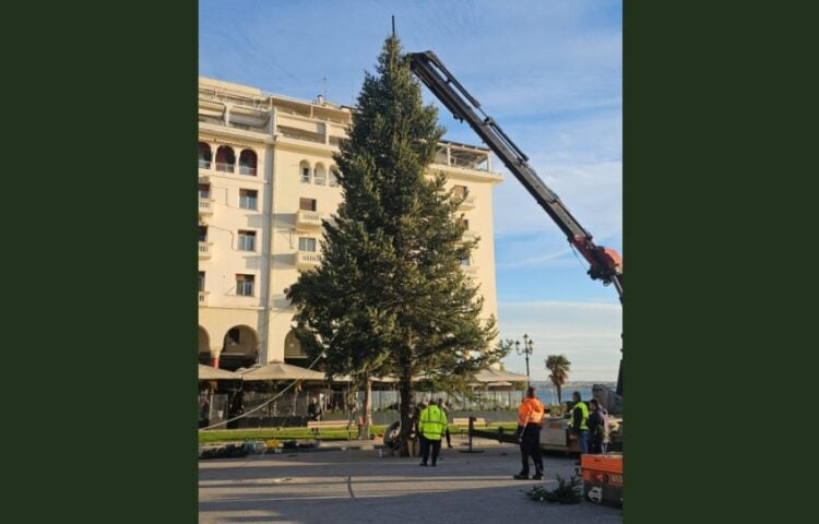 Συνεργείο του δήμου Θεσσαλονίκης στήνει το χριστουγεννιάτικο δέντρο στην πλατεία Αριστοτέλους (φωτ.: Δήμος Θεσσαλονίκης)