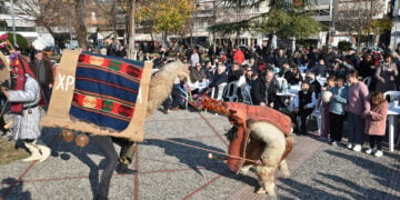 Καμήλες και Ντιβιτζήδες στην πλατεία της
Φιλιππούπολης στη Λάρισα (φωτ.: ΑΠΕ-ΜΠΕ / Απόστολος Ντόμαλης)