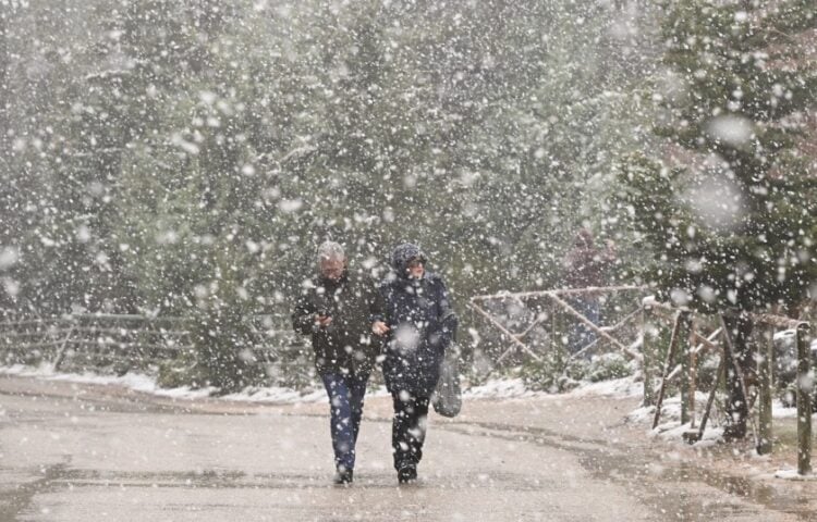 Πυκνή χιονόπτωση στα βόρεια προάστια της Αττικής (φωτ.: EUROKINISSI/Μιχάλης Καραγιάννης)