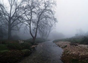 (Φωτ.: EUROKINISSI / Μάρκος Χουζούρης)