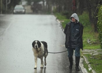 Έντονη βροχόπτωση στον Διόνυσο Αττικής (φωτ.: EUROKINISSI / Μιχάλης Καραγιάννης)