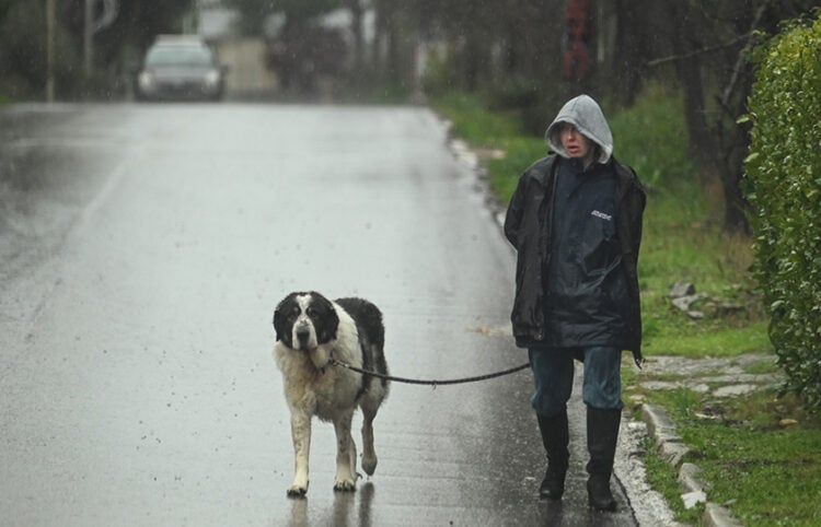 Έντονη βροχόπτωση στον Διόνυσο Αττικής (φωτ.: EUROKINISSI / Μιχάλης Καραγιάννης)