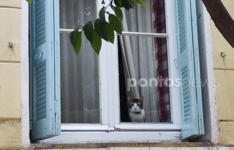 (Φωτ.: Χριστίνα Κωνσταντάκη)