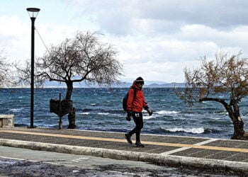 (Φωτ.: EUROKINISSI / Μιχάλης Καραγιάννης)