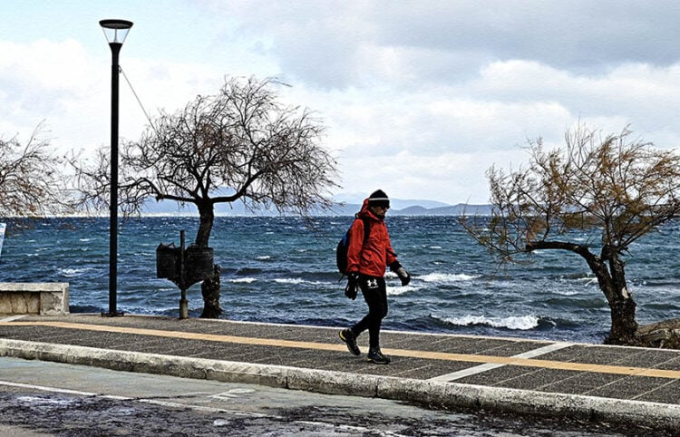 (Φωτ.: EUROKINISSI / Μιχάλης Καραγιάννης)