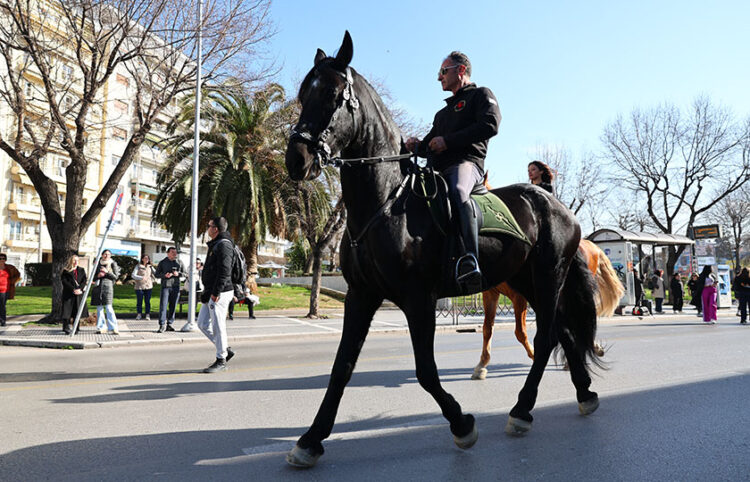 (Φωτ.: EUROKINISSI / Ραφαήλ Γεωργιάδης)