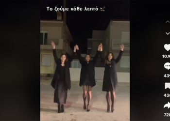 Στιγμιότυπο από το βίντεο που ανέβηκε στο TikTok (πηγή: TikTok / andelinakesidou)