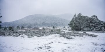 (Φωτ. αρχείου: Eurokinissi/Παναγιώτης Μπαλάσκας)