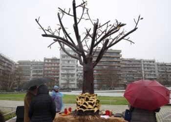 Σε αντίθεση με την Αθήνα, όπου τα πουλιά βρίσκονται στα κλαδιά του δέντρου, στη Θεσσαλονίκη, όπου επρόκειτο να καταλήξει το τρένο, τα πουλιά είναι πλέον πεσμένα στις ρίζες (φωτ.: ΜΟΤΙΟΝΤΕΑΜ/Βασίλης Βερβερίδης)