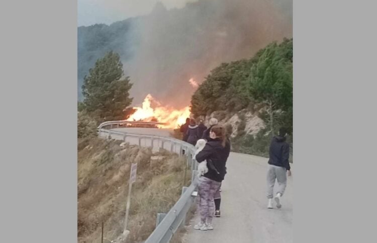 Η φωτιά καίει δασική έκταση κοντά στον Άγιο Νικήτα (φωτ.: Χ/Εποχικοί Πυροσβέστες)